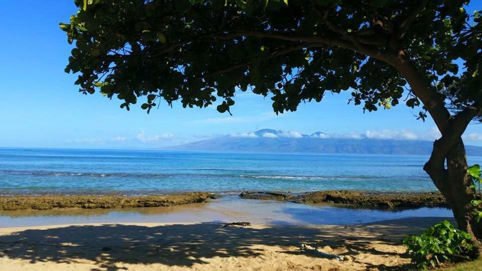 Lahaina Wonderful Condos מראה חיצוני תמונה