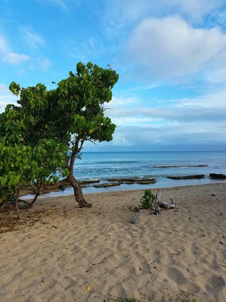 Lahaina Wonderful Condos מראה חיצוני תמונה